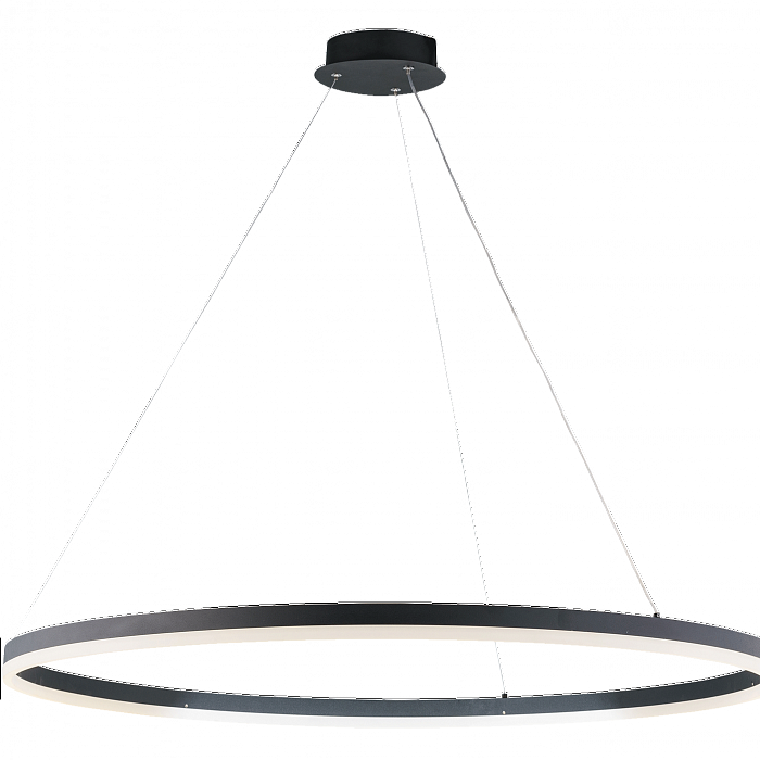 Светильник NewRgy 20214-10 SBK