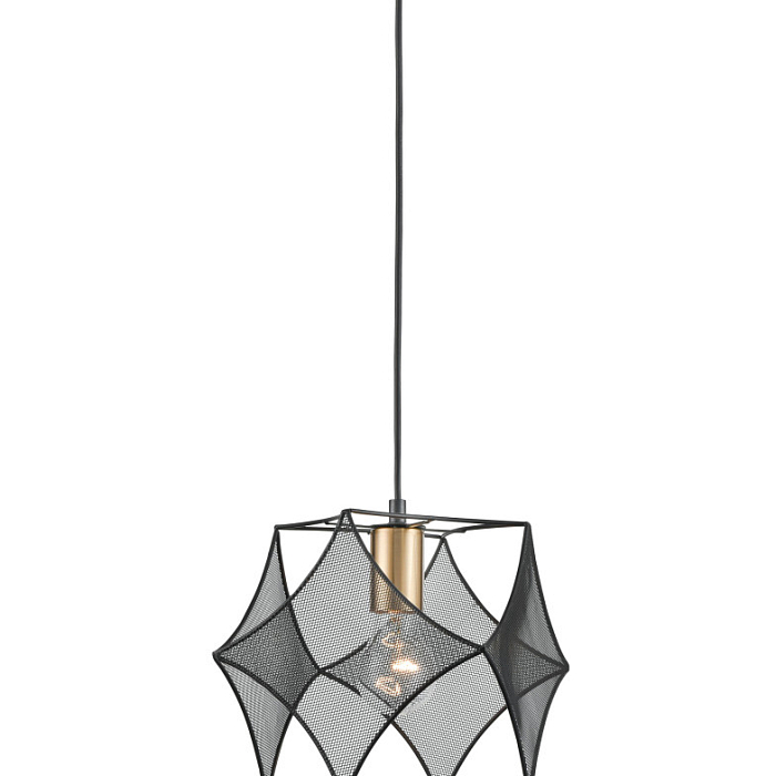 Светильник Vele Luce VL6352P01