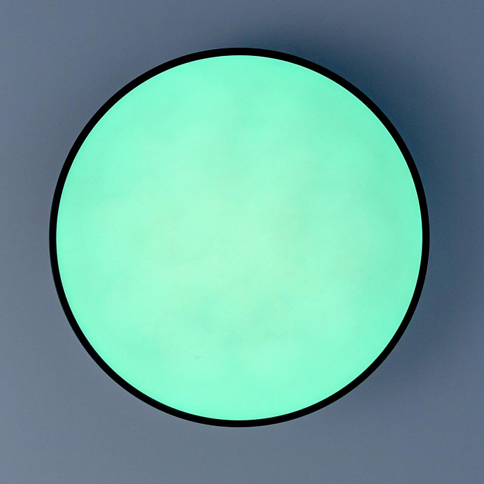 Светильник потолочная  CL72470G1