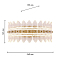 Favourite 4754-1W